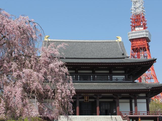 増上寺非公開文化財をめぐる特別拝観ツアーのサムネイル