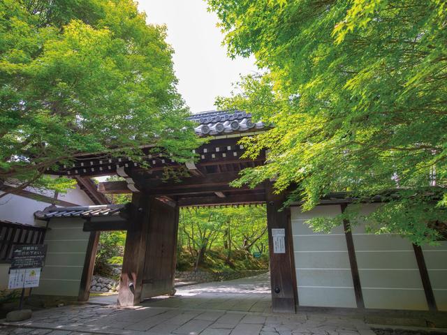 龍安寺非公開エリアを含めた貸切での特別拝観 [最大８名様限定のプライベート体験をお届けします]のサムネイル