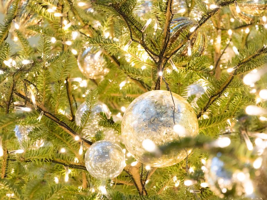 今年のクリスマスは特別なグッチ オステリアと共にのサムネイル